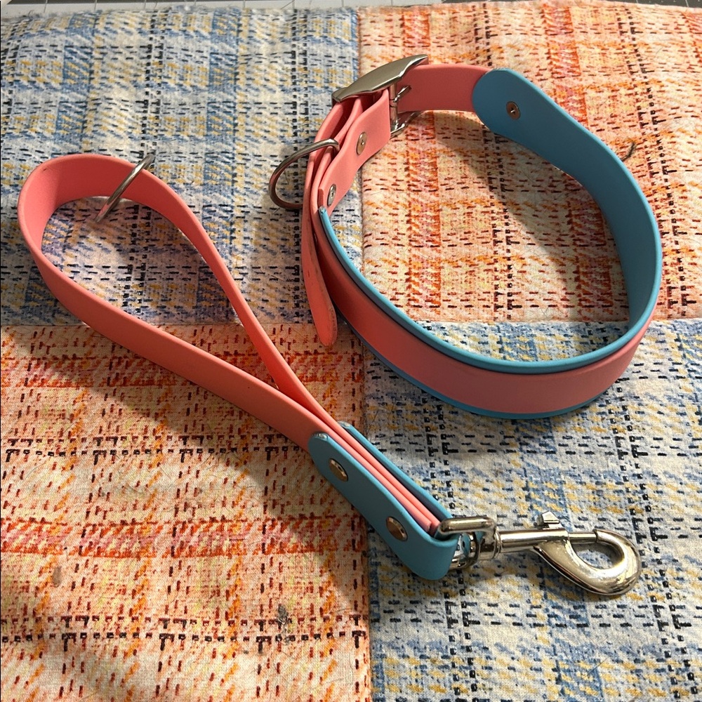 Canine Biothane collar and Lead set